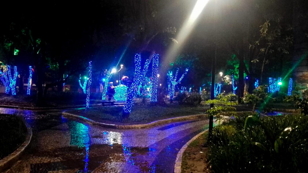 decoracao natal lago 3